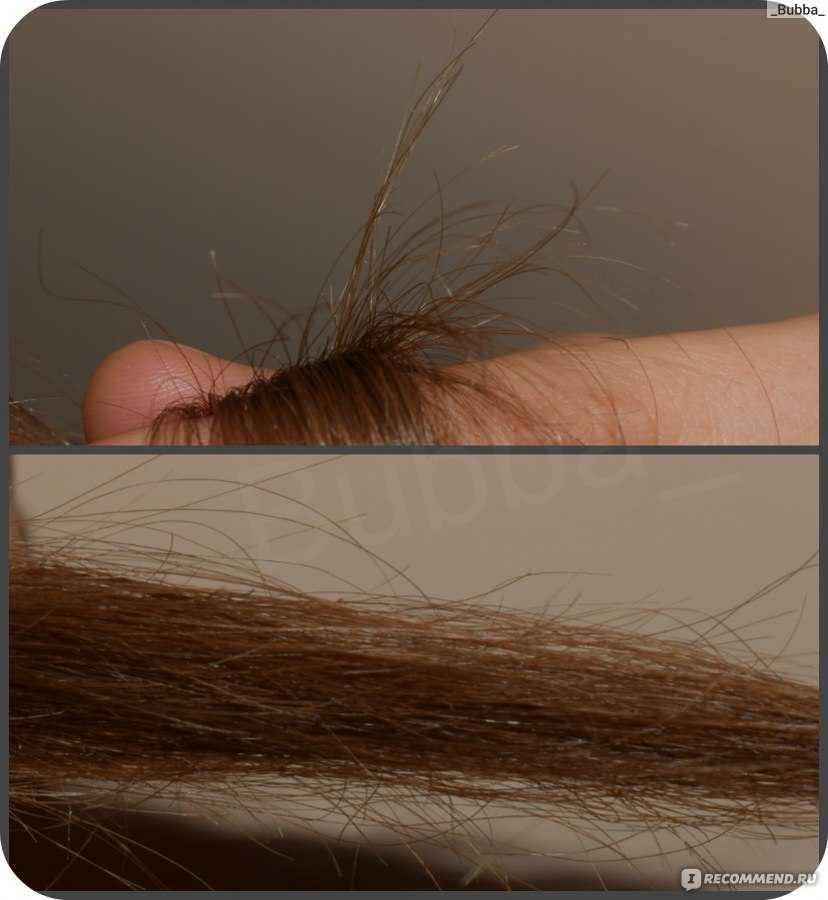 Восстановление секущихся волос. Секущиеся волосы. Посеченные концы волос. Секущиеся концы. Ломкие волосы.