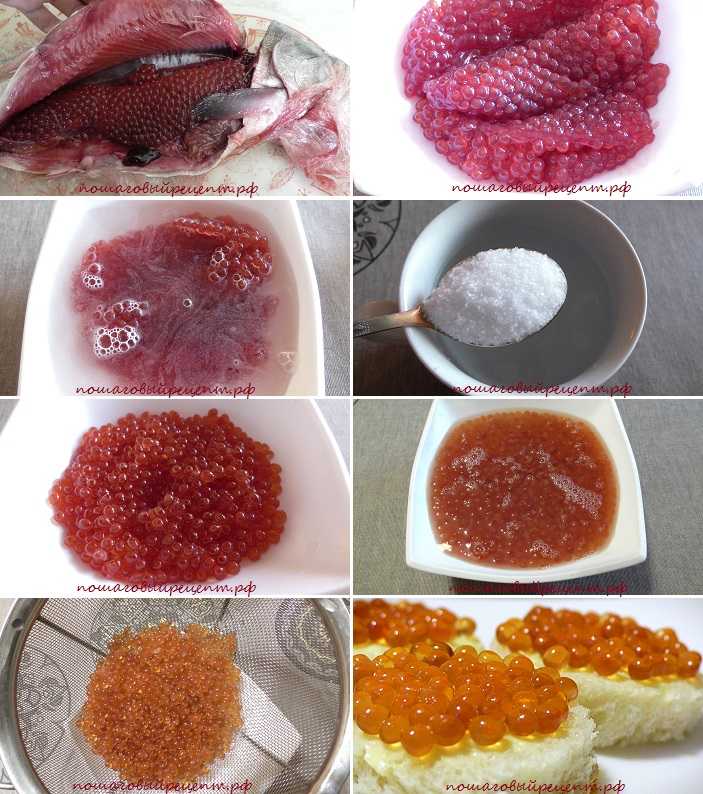 Как засолить икру горбуши из замороженной рыбы в домашних условиях