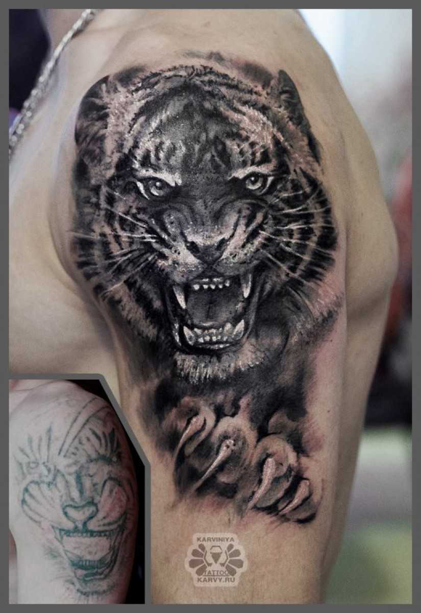 Значение тату тигр в зависимости от части тела и эскиза татуировки