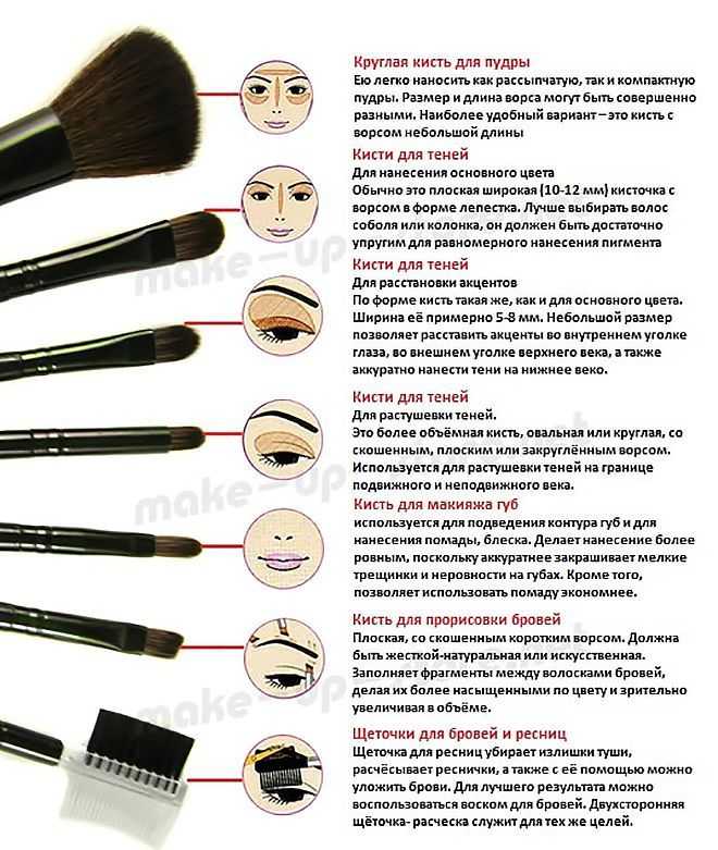 Кисти для макияжа — какая для чего нужна, какие лучше выбрать? | moninomama.ru