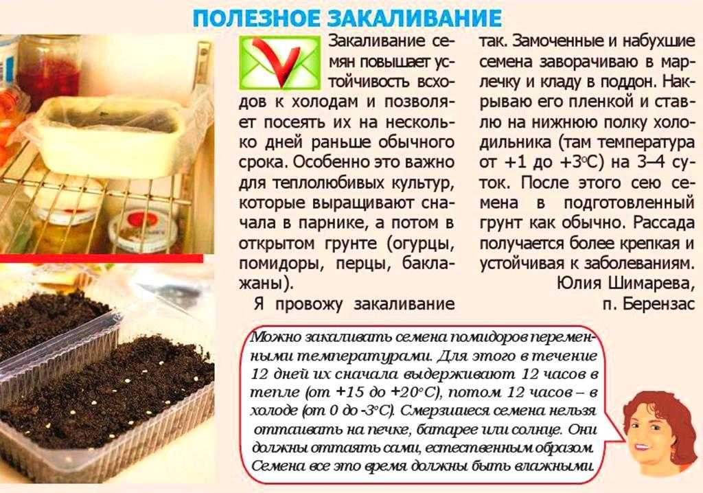 Как подготовить семена моркови к посадке. способы посева моркови без прореживания. приспособления для посева моркови. * vsetemi.ru