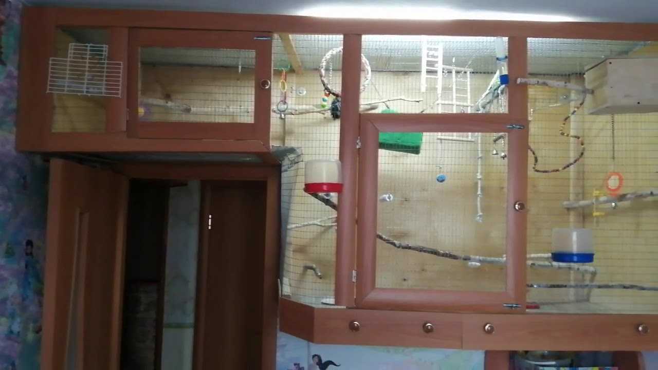 Клетка для попугая своими руками: как сделать, пошаговая инструкция