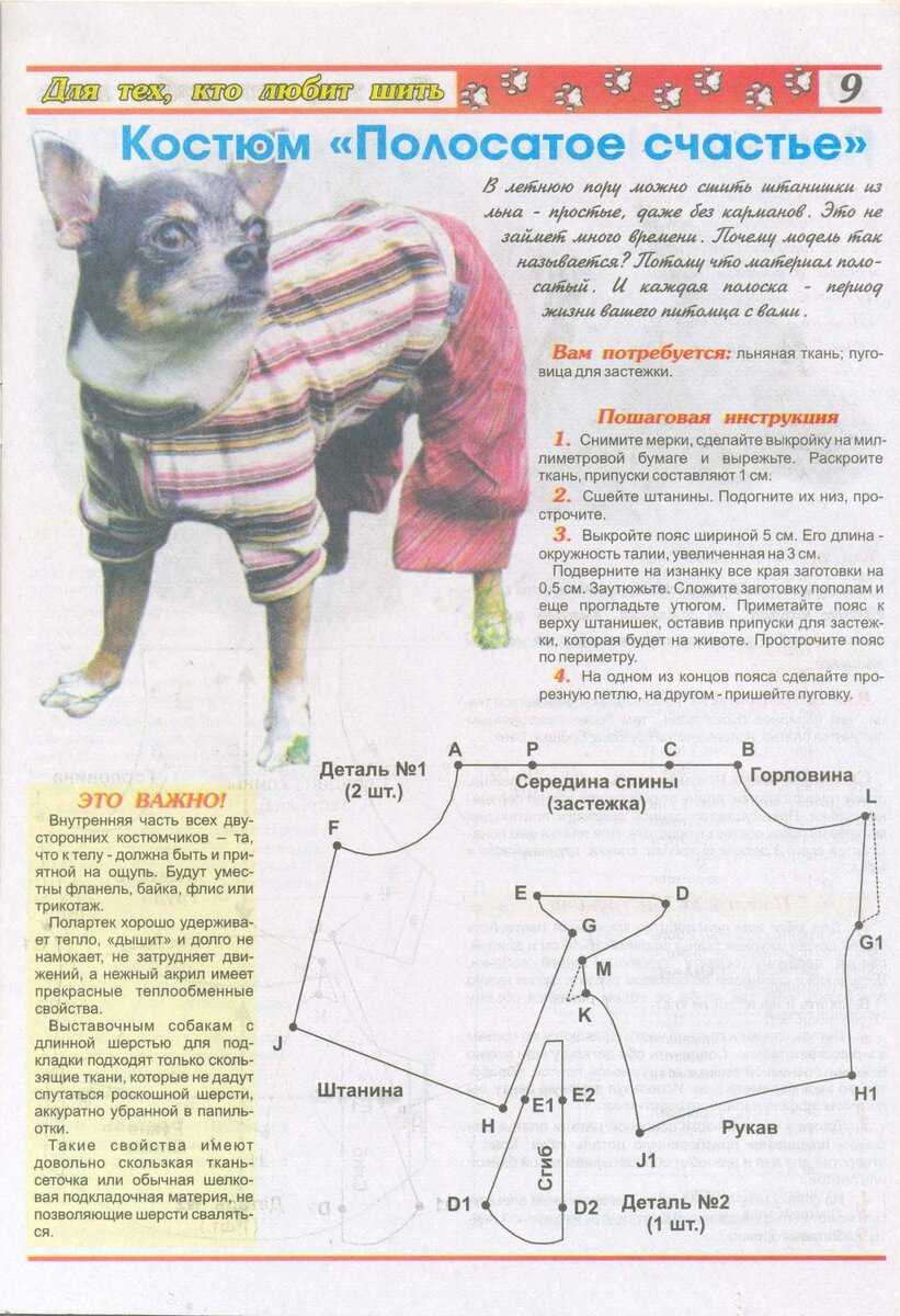 Правила и схемы вязания одежды для собак мелких пород спицами: разнообразие маленьких одежек