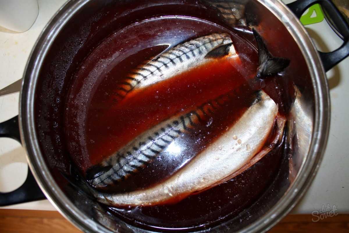 Как засолить красную рыбу в домашних условиях? вкусные 👍 рецепты засолки красной рыбы