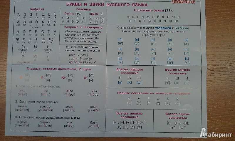Гласные звуки и буквы, их обозначающие / звуки и буквы / справочник по русскому языку для начальной школы