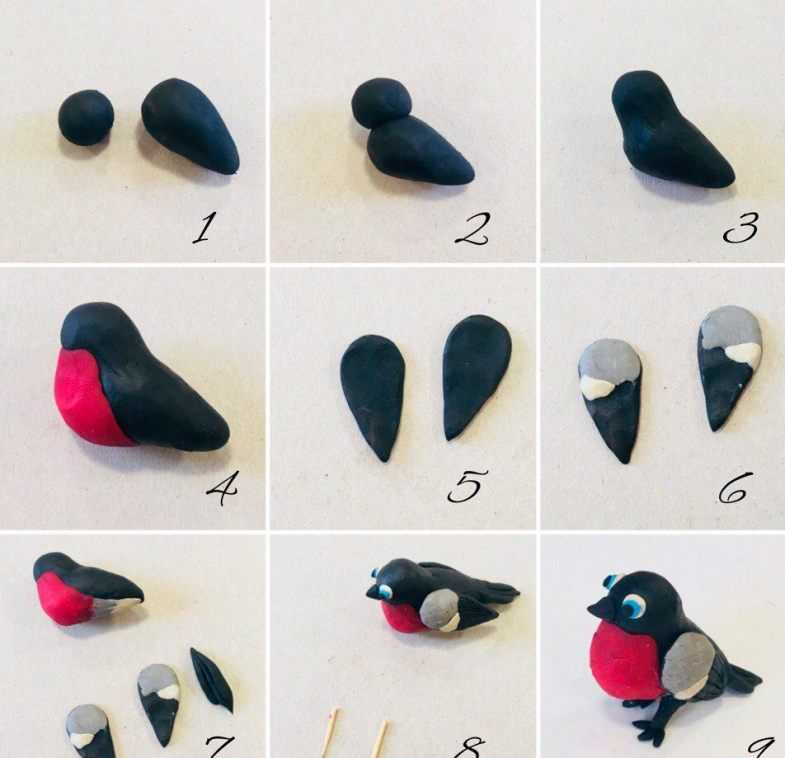 Птицы из пластилина для детей поэтапно — лепка птиц с фото