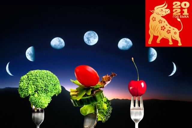 Лунный календарь огородника и садовода на 2021 год — мир космоса