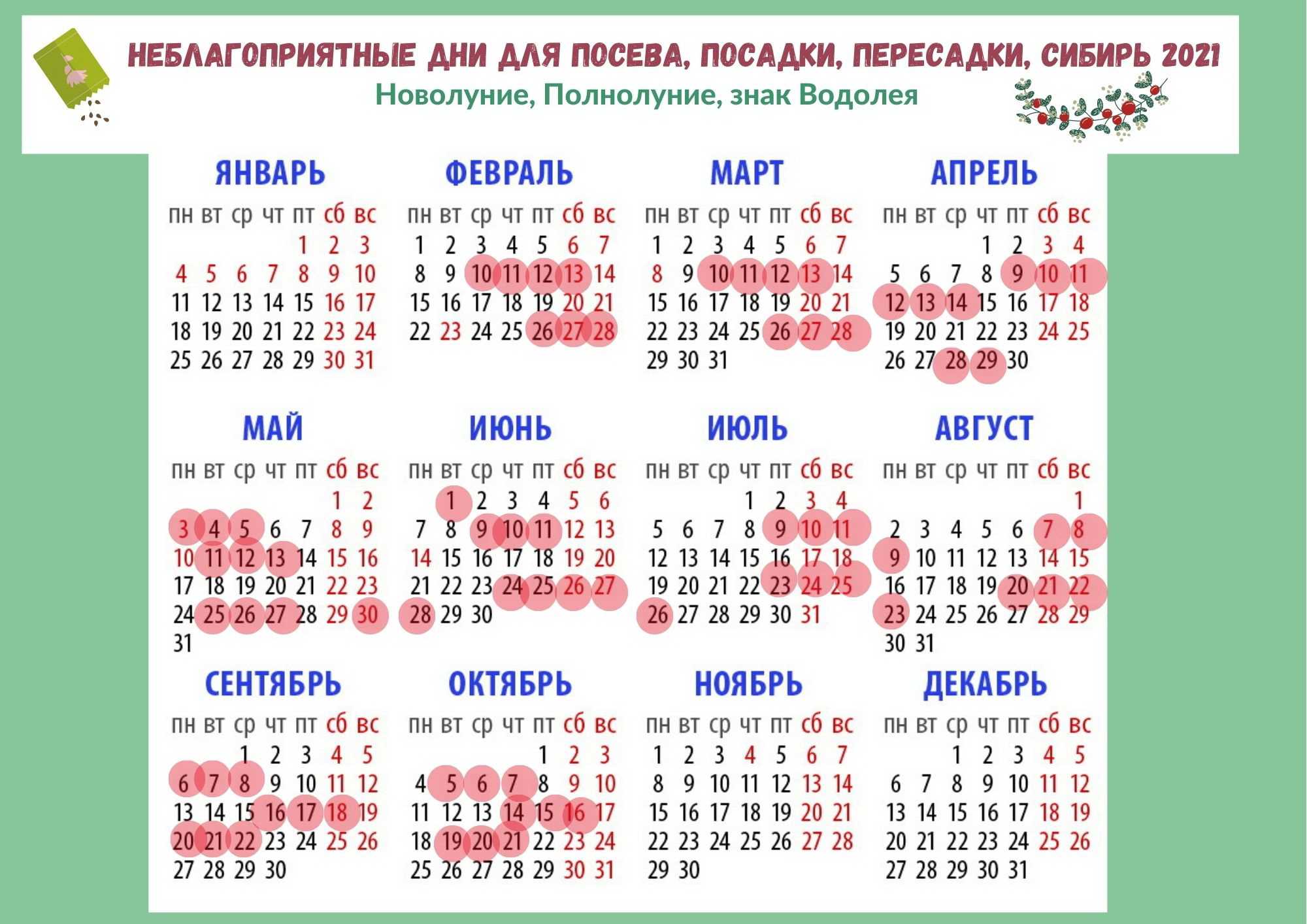 Лунный календарь повседневности: благоприятные дни для разных дел в январе 2021 :: инфониак