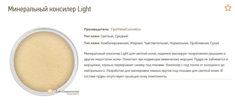Минеральная пудра для жирной кожи: какую матирующую пудру выбрать | moninomama.ru