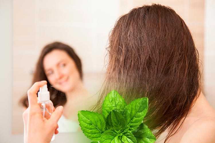 Эфирное масло мяты для шикарных волос: действительно ли оно работает?