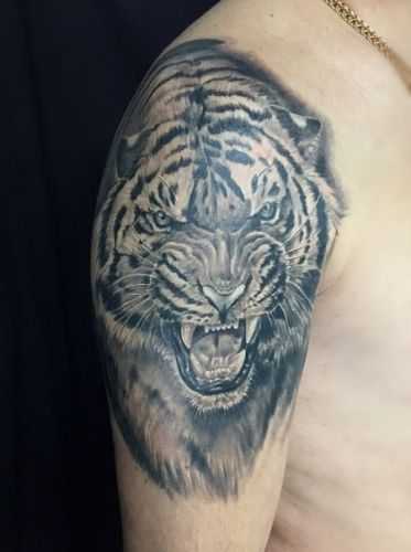 Что означает тату с тигром для девушек и мужчин на плече, руке, груди, спине или ногах