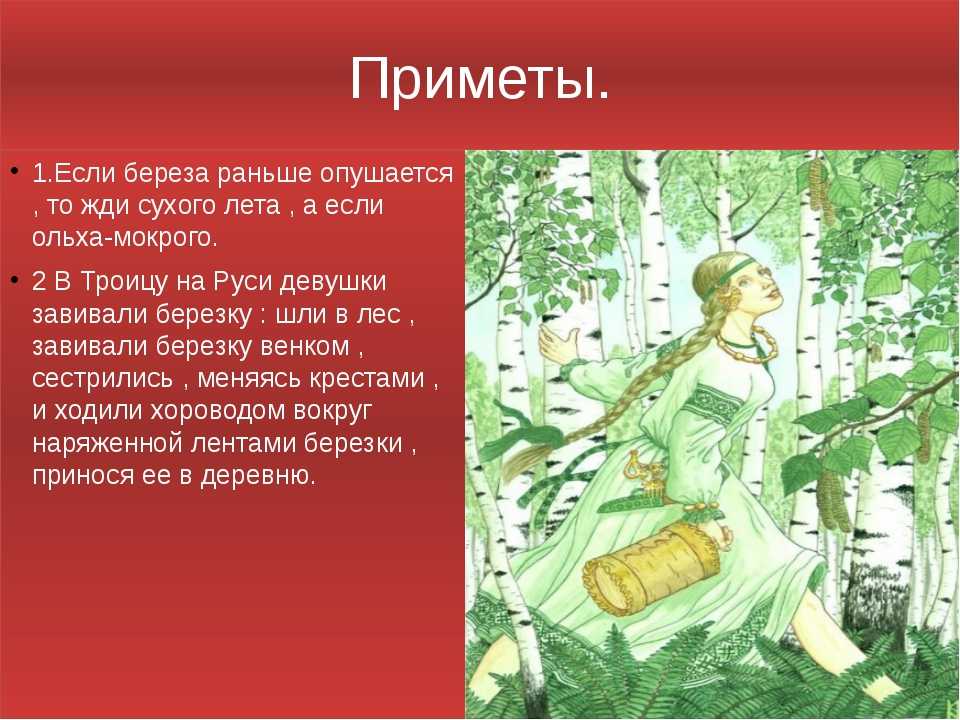 Традиции на троицу и духов день, заговоры и обряды на руси и в украине. сценарий обряда кумления в троицу