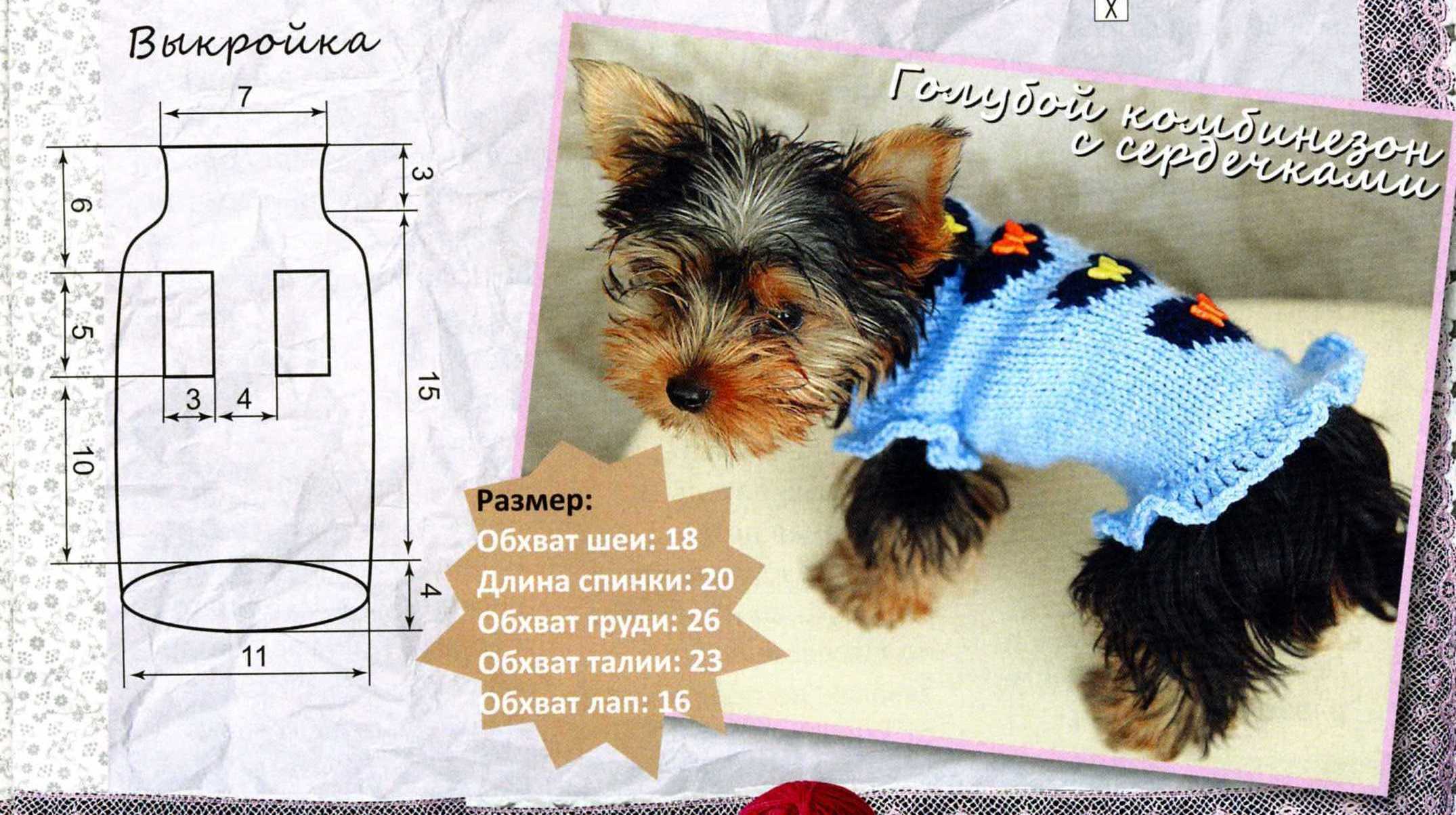 Выкройки одежды для собак: пошив одежды и схемы