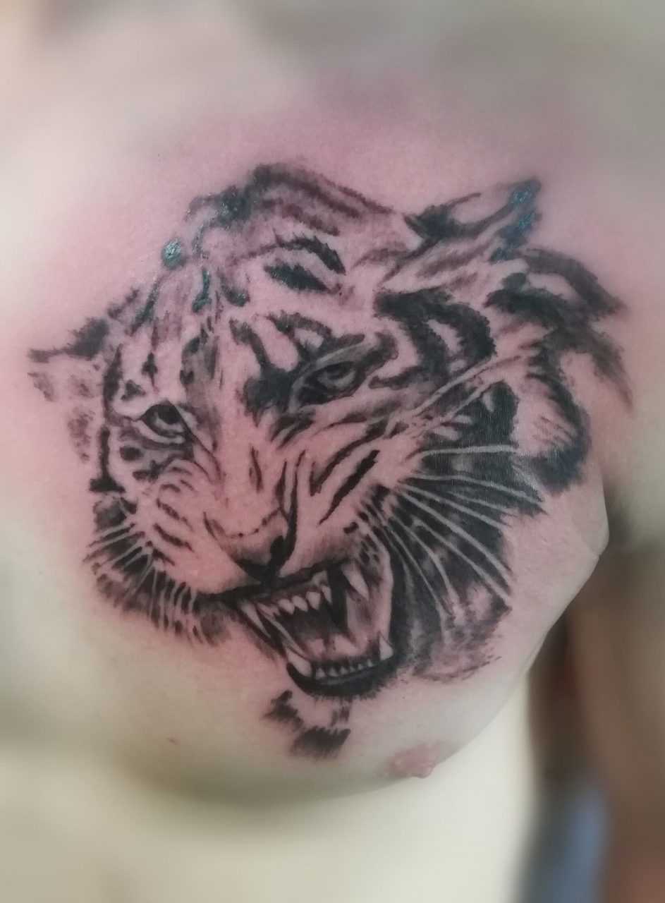 60 татуировок тигра для женщин и их значение - все о тату