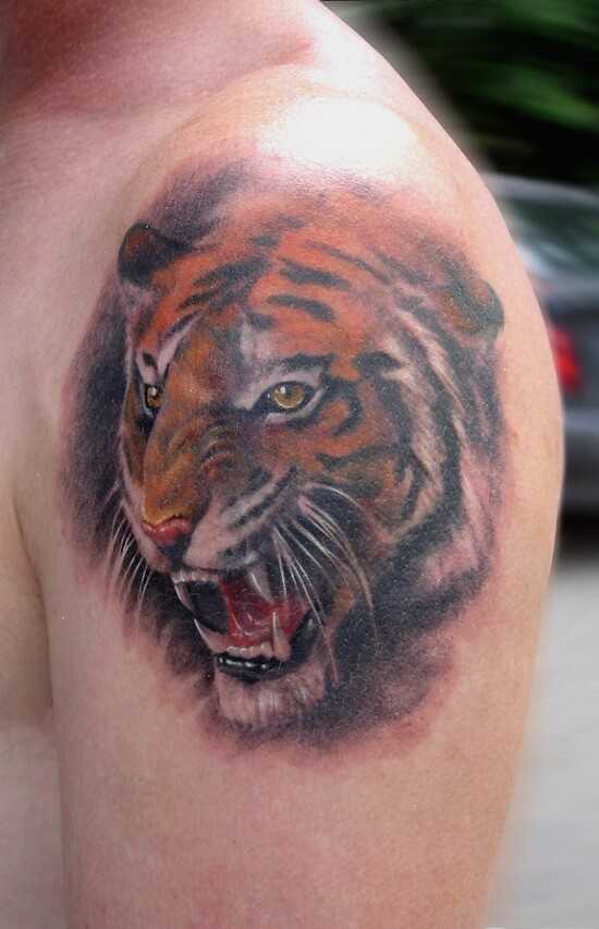 Значение тату тигр: все значения татуировок с тиграми