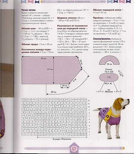 Вязаная одежда для собак своими руками: инструкция по изготовлению