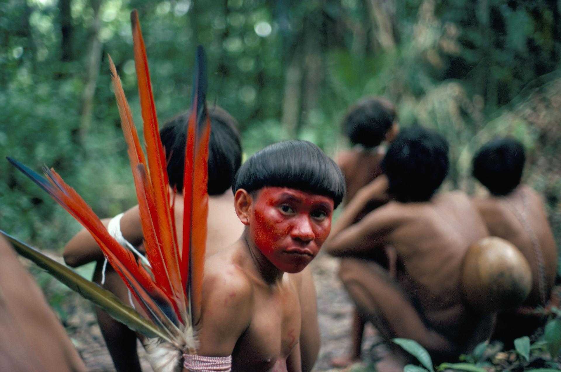 бразилия дикие племена