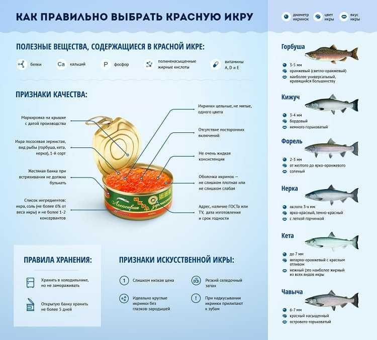 Как выбрать лучшую красную икру / и на что обратить внимание при покупке – статья из рубрики "что съесть" на food.ru