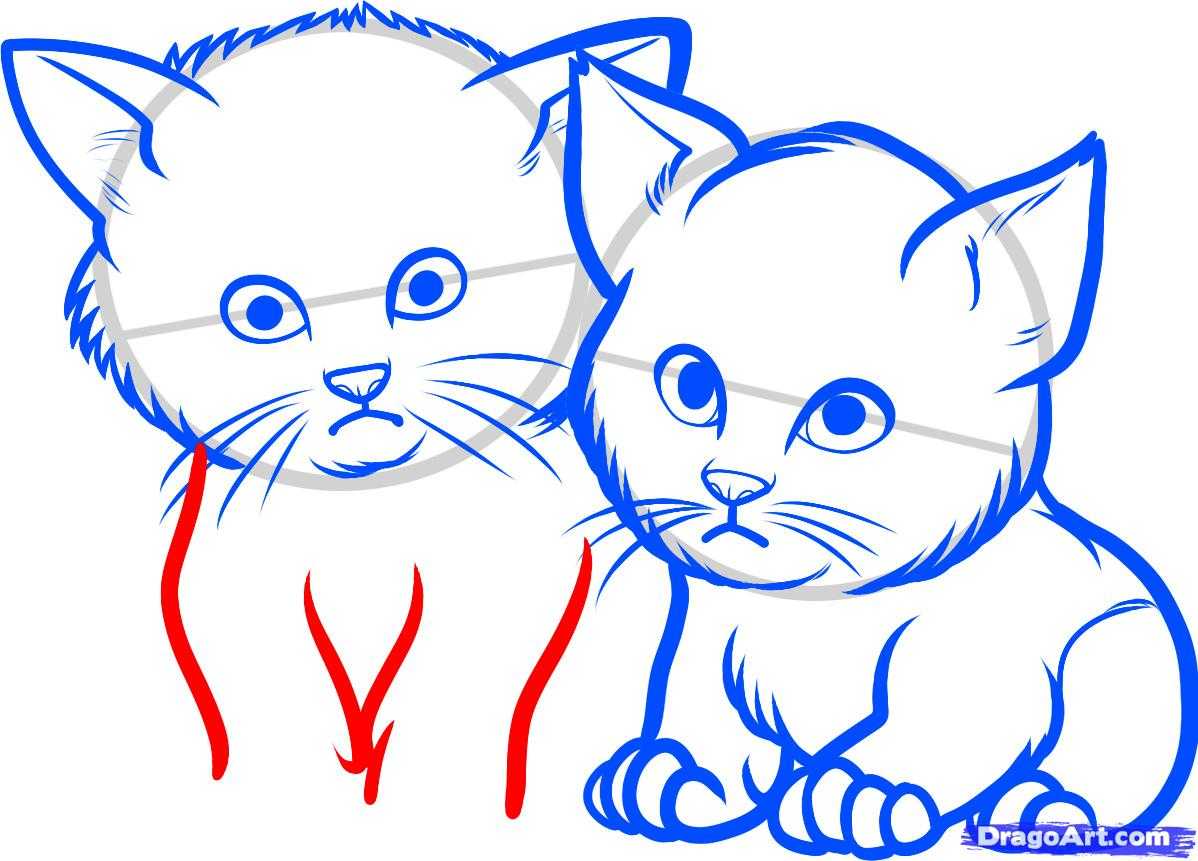 Как нарисовать кошку, котенка? рисунки простым карандашом поэтапно для начинающих