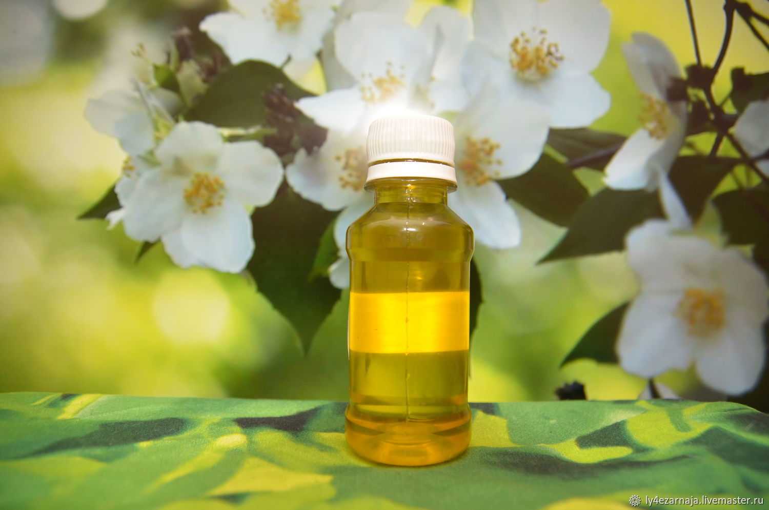 Эфирное масло жасмина: свойства и применение, вред и противопоказания
