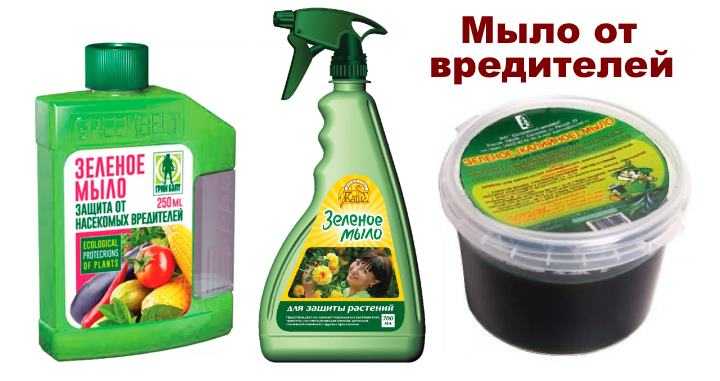 Зеленое мыло для волос: состав, польза и вред, рецепт приготовления
