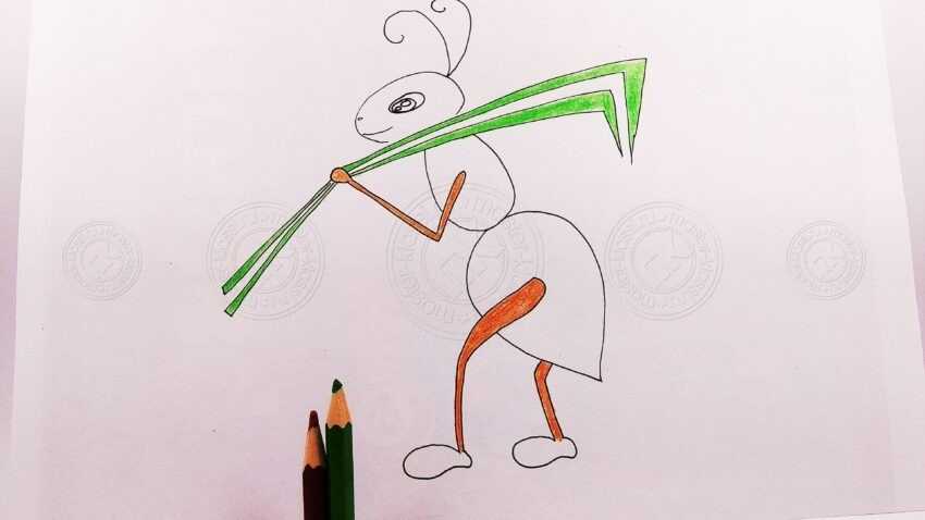 Нарисовать муравья вопросика. Муравей рисунок для детей карандашом. Муравей поэтапное рисование для детей. Рисуем муравья с детьми поэтапно. Милый муравей рисунок.