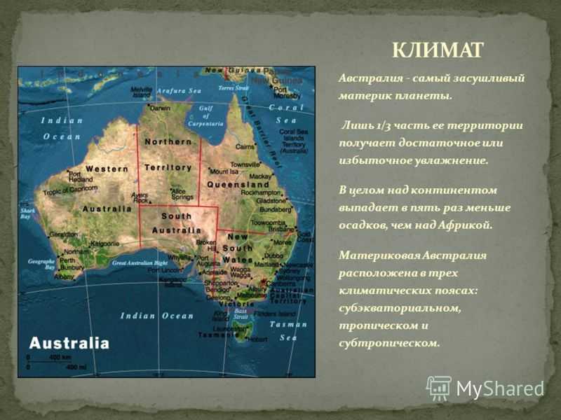 Австралия: природа материка, ее особенности. животные и растения австралии :: syl.ru