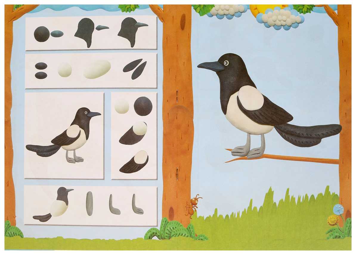 Птицы из пластилина: поэтапно для детей