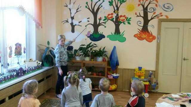 Уголок природы в детском саду – детский сад и ребенок