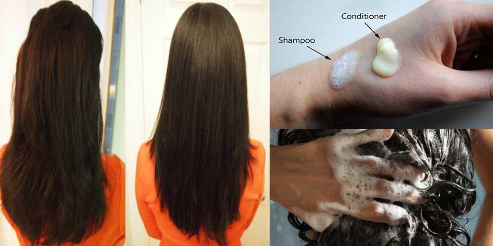 Шампунь для жирных волос: выбираем лучший и эффективный, большой обзор хороших лечебных и профессиональных шампуней регулирующих жирность волос