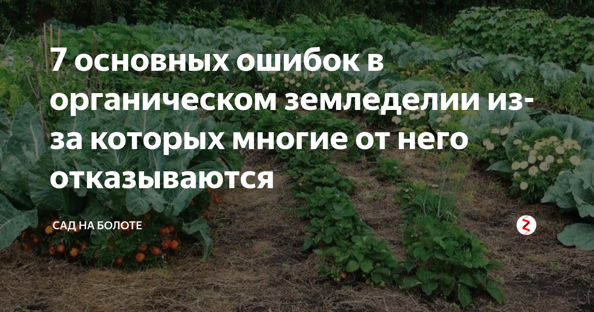 Огород без хлопот. органическое земледелие — ботаничка.ru