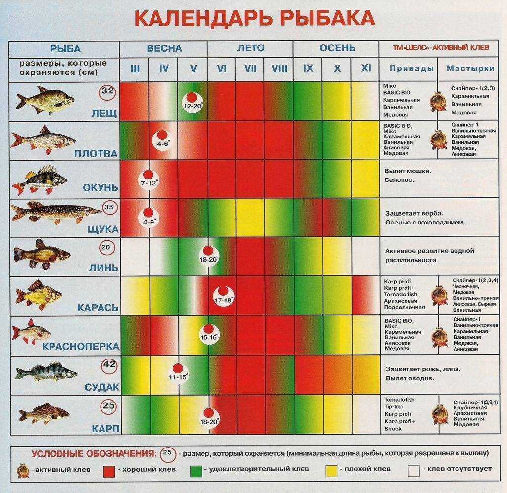 Лунный календарь клева рыбы на июль 2022 года