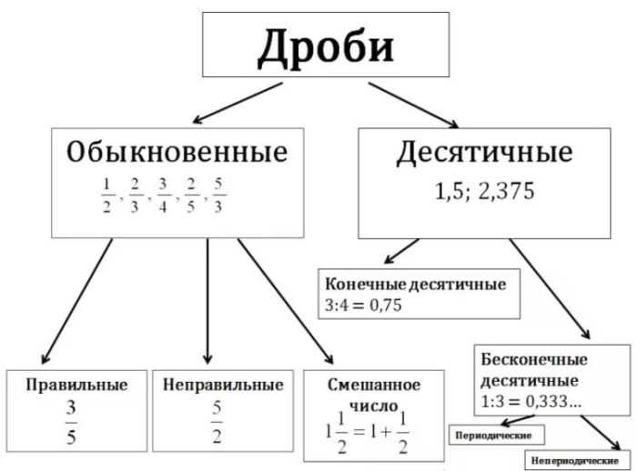 Ментальная карта дроби