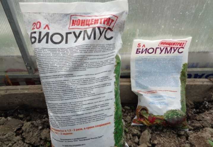 Можно ли использовать биогумус для овощей и томатов: инструкция по применению средства, отзывы огородников