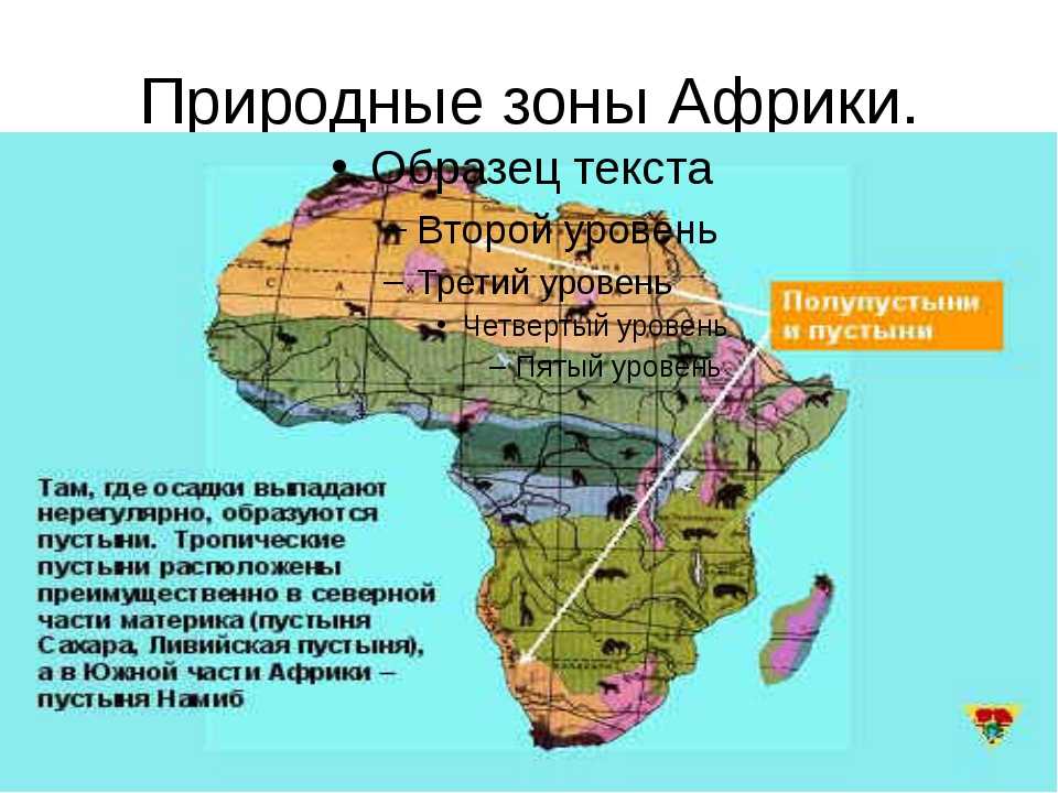 Крупные природные зоны африки. Природные зоны материка Африка. Природные зоны центральной Африки. Карта природных зон Африки 7 класс. Природные зоны Африки 7 класс география карта.