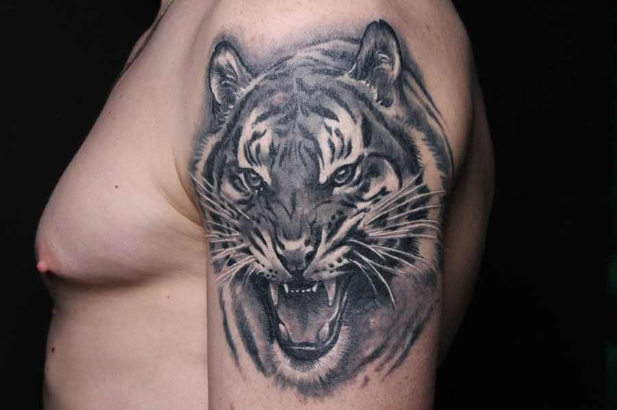 Значение тату тигр с фото и описанием