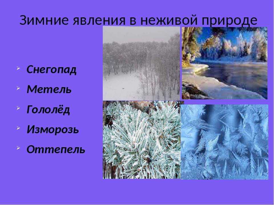 Явления природы зимние, весенние, летние, осенние