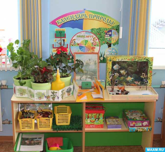 Организация уголка природы в детских садах по фгос