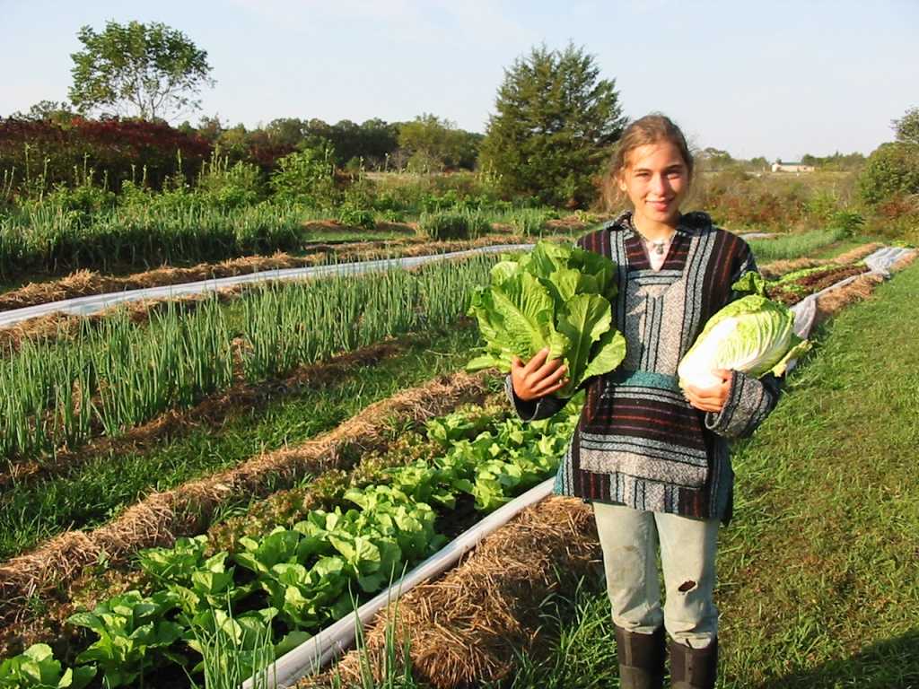 Органическое земледелие – райский огород или дорога к жизни