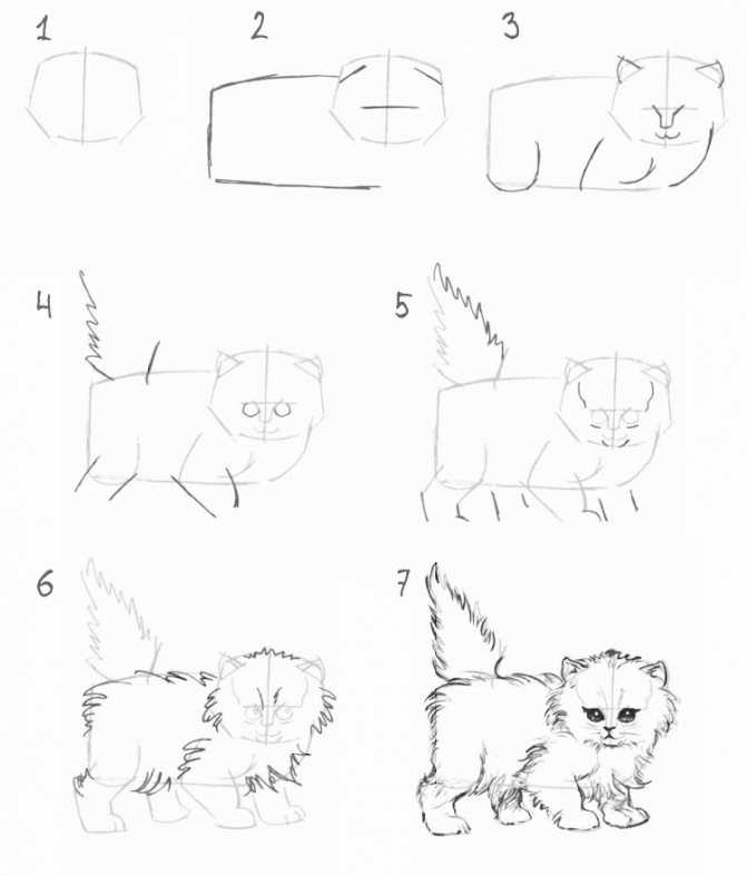Как нарисовать котенка  поэтапно 17 уроков