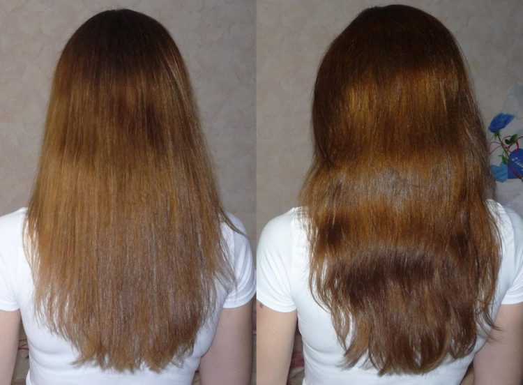 Хна для волос: оттенки, а также фото до и после применения на темных и светлых локонах