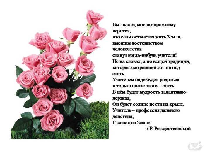 Лучшие поздравления с днем рождения учителю от родителей и учеников | detkisemya.ru