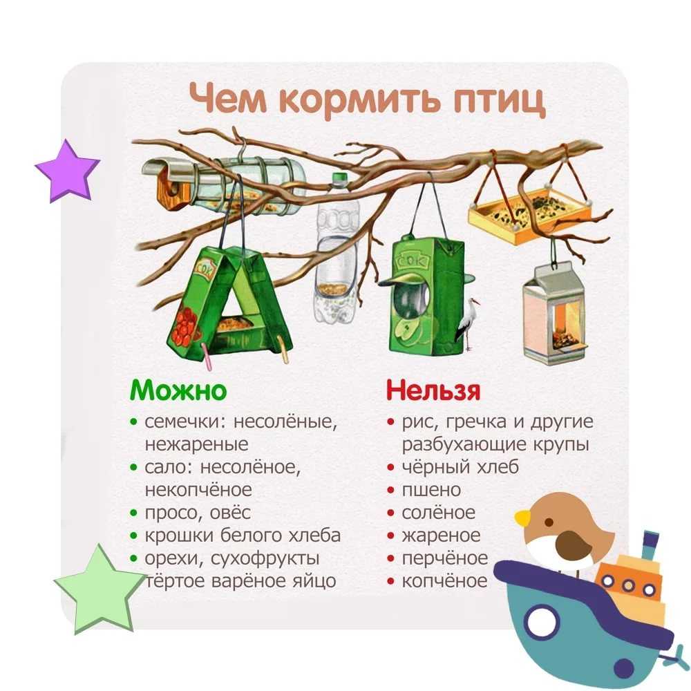 Как помочь зимующим птицам зимой? :: syl.ru