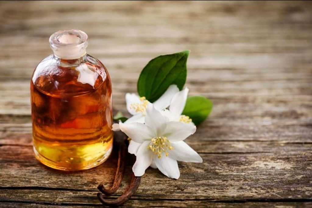 Эфирное масло жасмина: свойства и применение