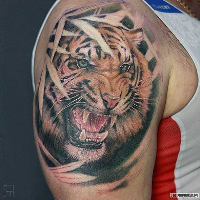 Значение тату тигр. татуировки оскала тигра. тату тигра у девушек и мужчин