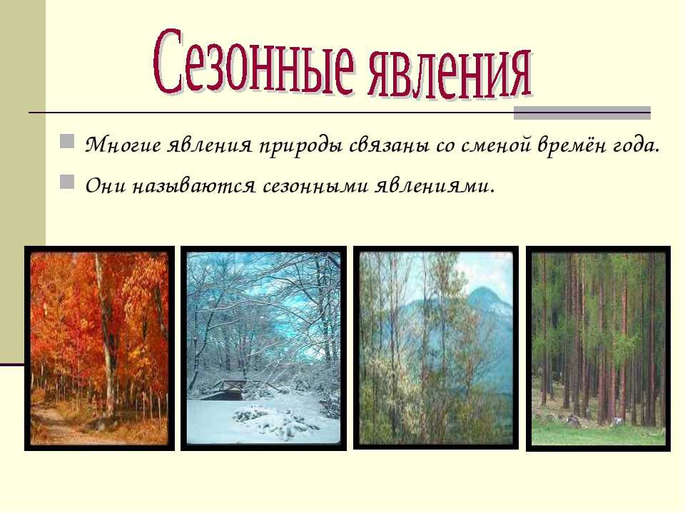 Урок 4: явления природы - 100urokov.ru