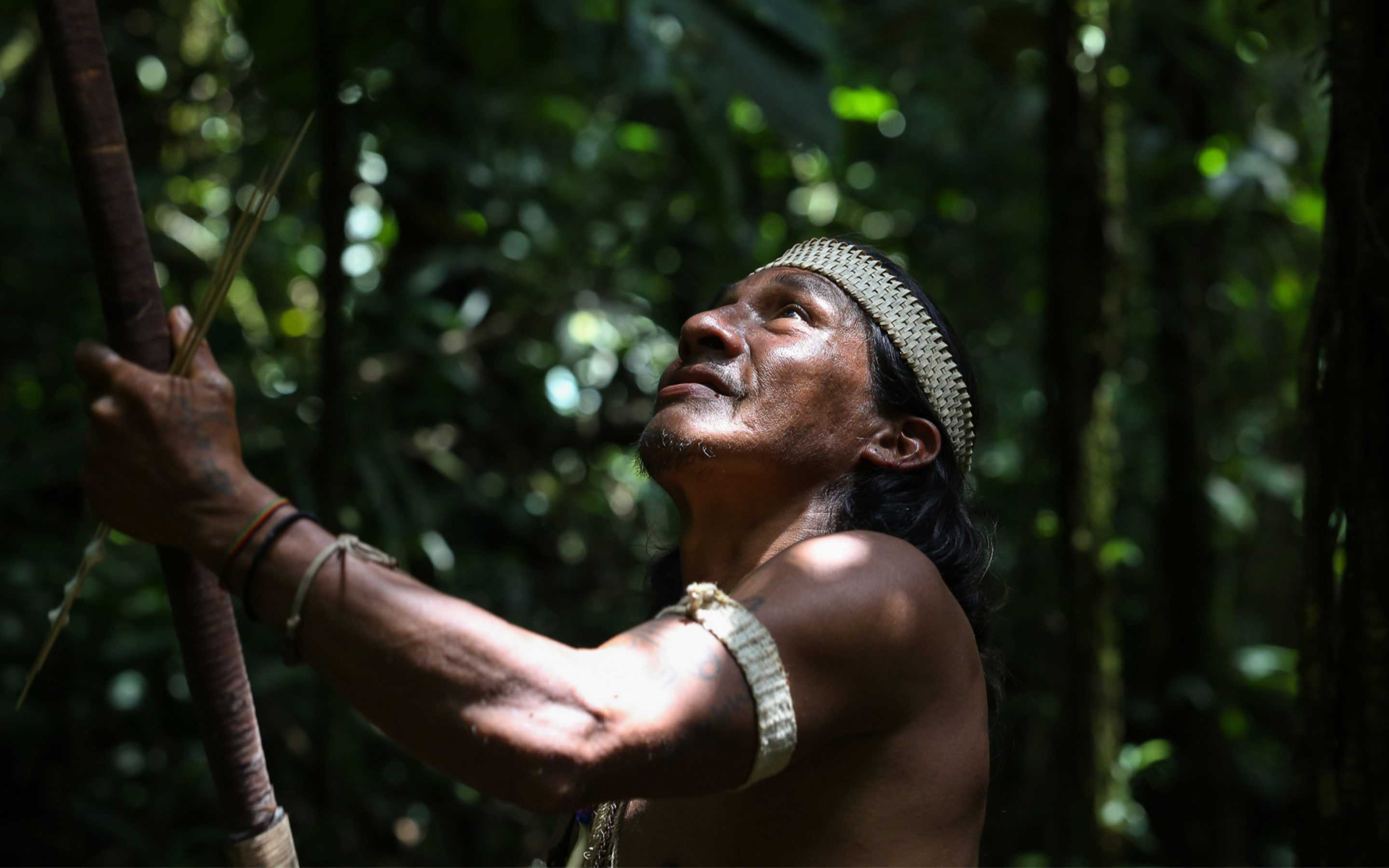 бразилия дикие племена