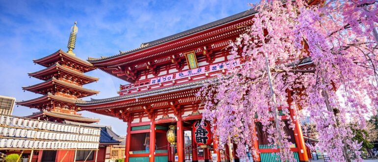 Культурно-познавательный тур в Японию